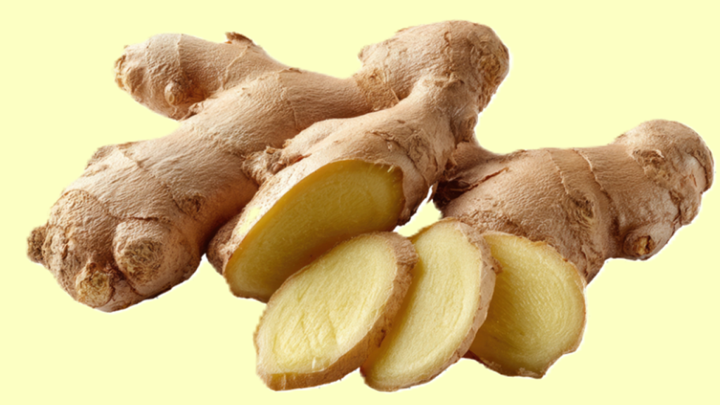 Ginger