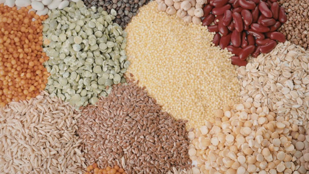 Legumes